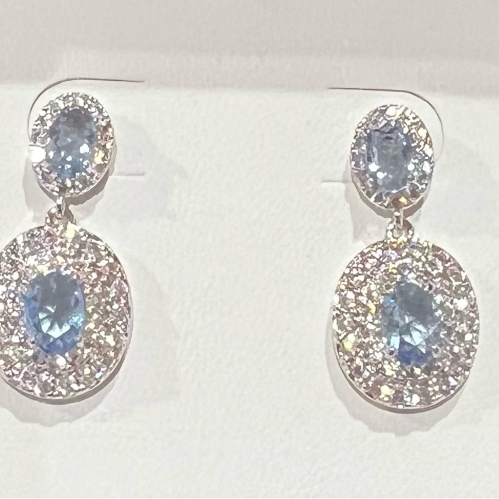 Stunning Silver and Blue Drop Earrings